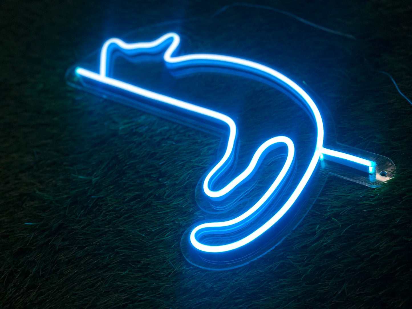 Cat Neon Sign - Homely Arts