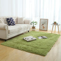 Silky Fluffy Carpet Modern Home Decor Long Plush Shaggy Rug Children's Play Mats - Homely Arts
