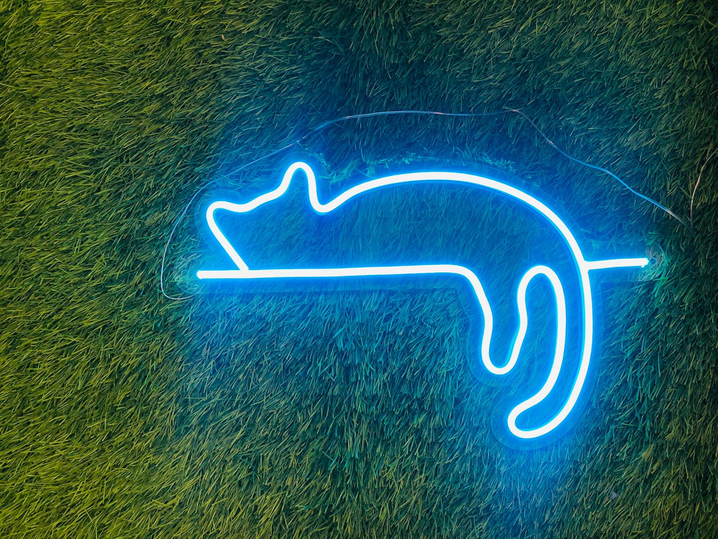 Cat Neon Sign - Homely Arts