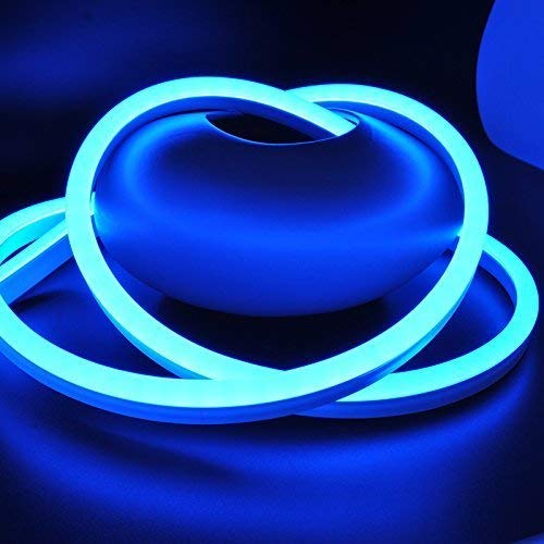 5 Meter Led Mini Neon Lights, Rope Lights, Super Bright for Outdoor Indoor Decoration(Blue) - Homely Arts