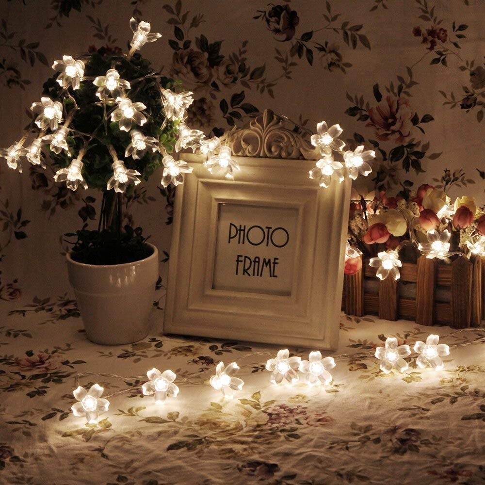 Combo of Silicone Blooming Flower Fairy String Lights (Warm White and Pink Bulbs) - Homely Arts