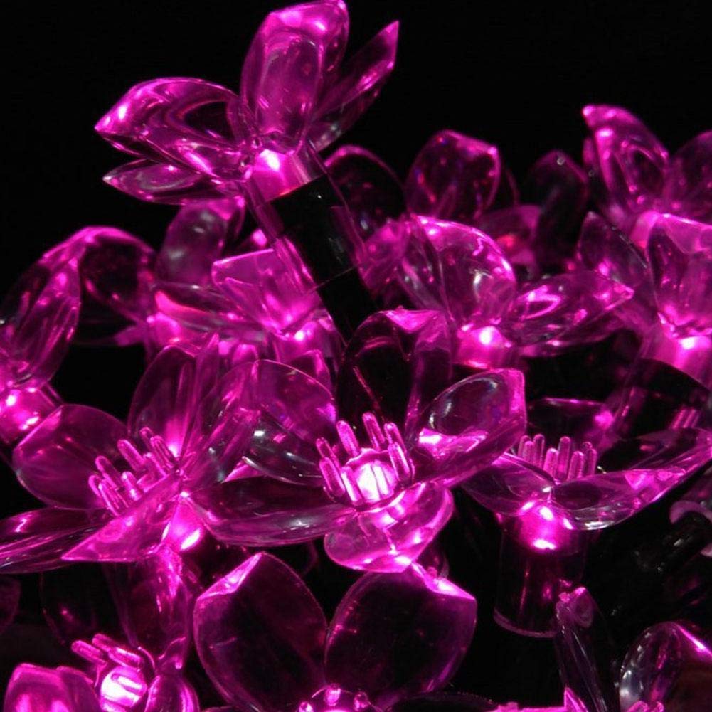 Combo of Silicone Blooming Flower Fairy String Lights (Warm White and Pink Bulbs) - Homely Arts