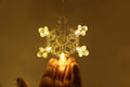 Snow Curtain Decorative Lights with (6+6) Big & Small Snowflakes - Homely Arts